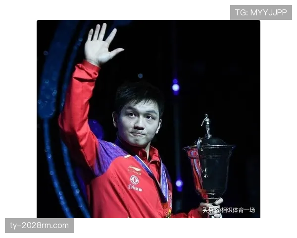 樊振东一场训练结束，手机壳价值组装了个小金库网友炸了