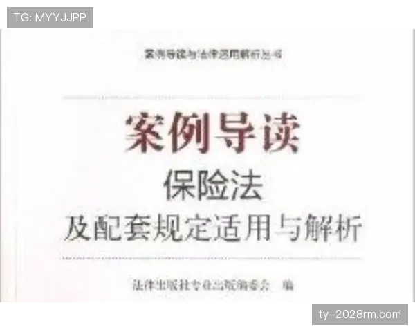身体接触容忍度是什么意思？篮球判罚规则详解与适用