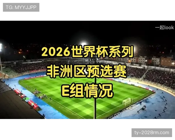世界杯E组晋级热门排行榜